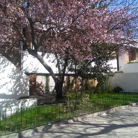 Ciruelo En Flor Bed and Breakfast Trelew Buitenkant foto